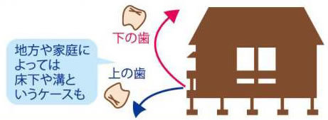 足立区綾瀬の歯医者 新井歯科医院 みんなはどうした? 抜けた乳歯
