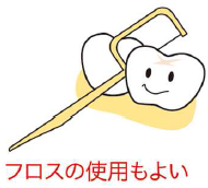 足立区綾瀬の歯医者 新井歯科医院 実は繋がっている⁉ 歯と心臓