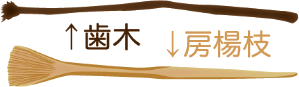 歯木と爪楊枝