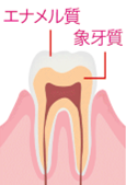 フッ素の働き