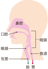 嚥下機能の低下