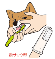 まずは慣らすことから