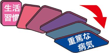 メタボリックドミノ