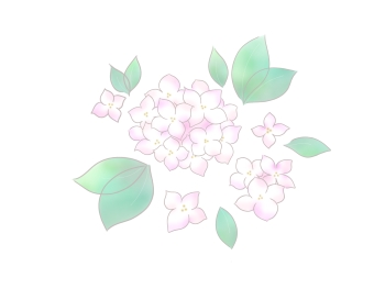 沈丁花