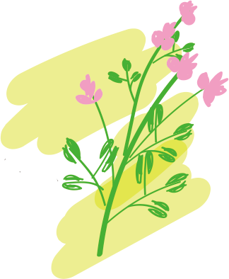 萩の枝