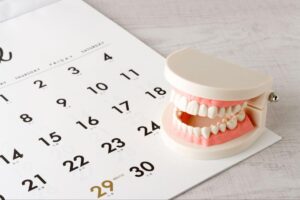 綾瀬の歯医者、新井歯科医院で、矯正治療の歯根吸収リスクについての解説